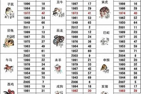 猪五行|十二生肖五行对照表 生肖属相年份五行对照表